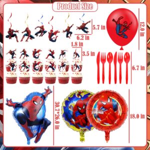 spiderman birthday decorations